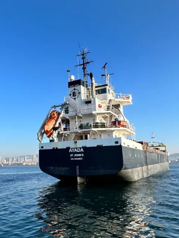 beammarine